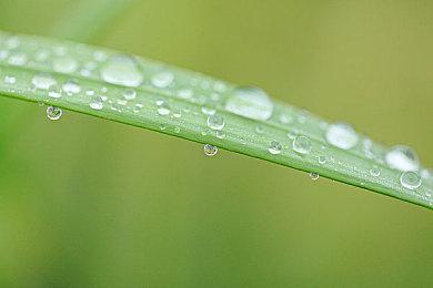 《The Fear Business》10月登陆Steam 生存恐怖冒险